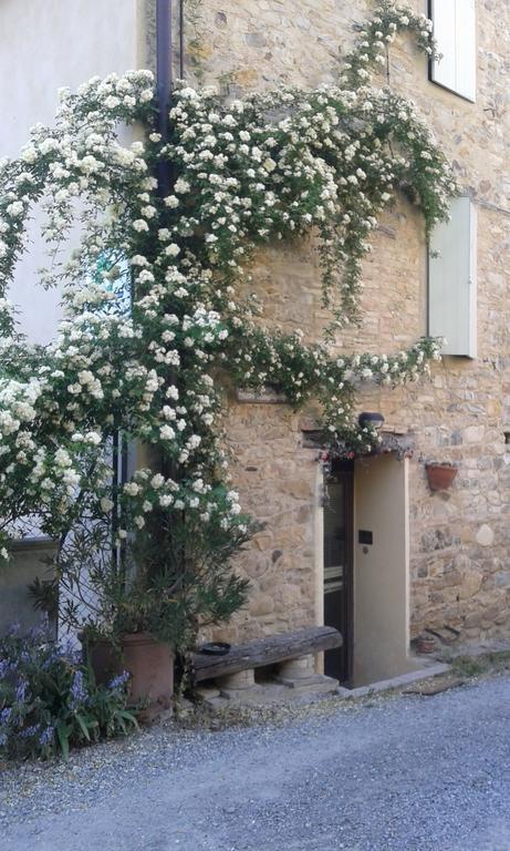 Agriturismo Il Gelso Traversetolo Kültér fotó