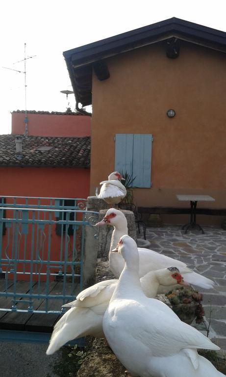 Agriturismo Il Gelso Traversetolo Kültér fotó