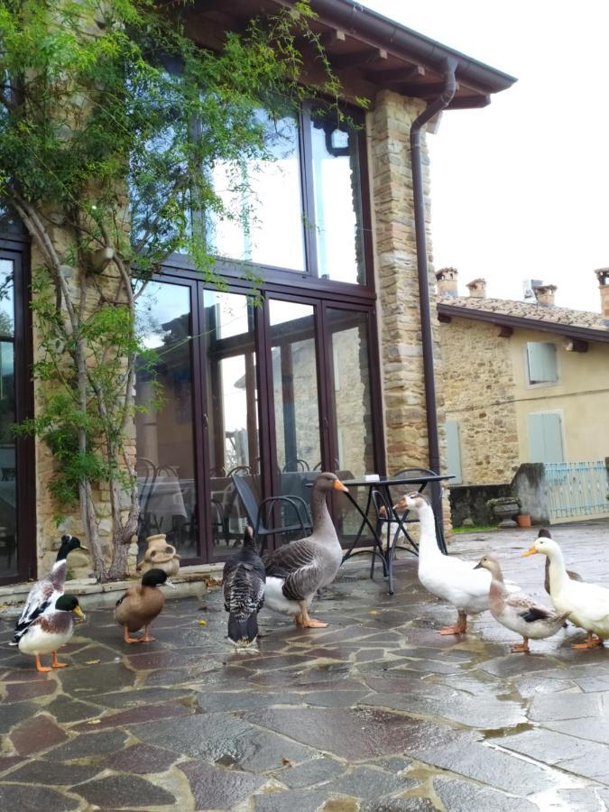 Agriturismo Il Gelso Traversetolo Kültér fotó